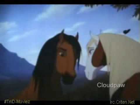 Look through spirit's eyes