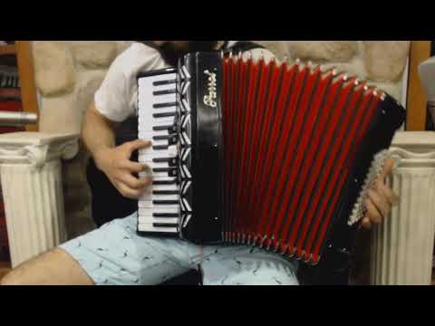 PARRCOC3460BK - Black Parrot Cockatiel Piano Accordion LMM 34 60 $649
