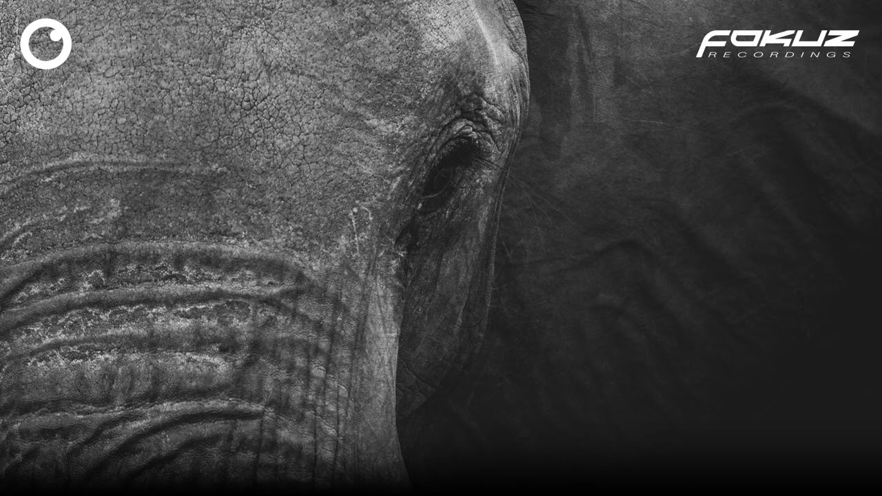 Maykors & Untrue - Elephant Dreams