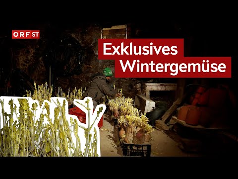 Beet greens from Trentino I South Tyrol today from 19.01.2026