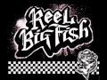 In The Pit (Vinyl)- Reel Big Fish