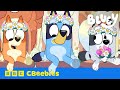 Bluey And Bingo The Bridesmaids SNEAK PEAK CBeebies