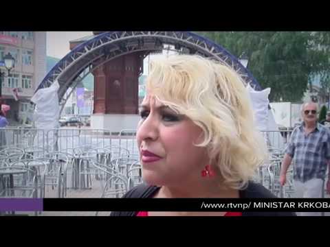 Suada Karišik za Dane dijaspore