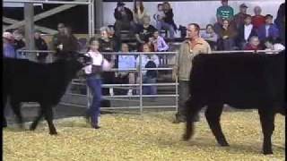preview picture of video 'Georgia Farm Bureau 2nd District Steer & Heifer Show'