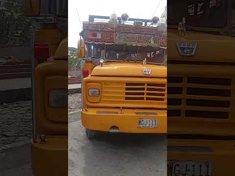 escaleras o chivas lindo transporte en el municipio de manzanares caldas