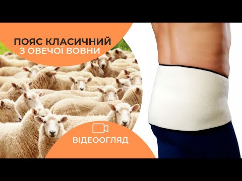 Пояс для спины из овечьей шерсти Классический L (обхват 115-135 см) - фото 1 - id-p874772751