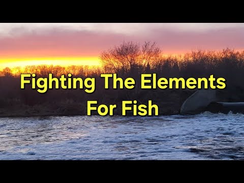 Fighting The Elements For Fish