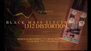 Video thumbnail for a versatile Rat Style Distortion - Black Mass Electronics 1312 | Vignette Demos by dots.sounds