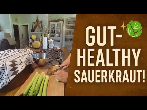 Make homemade gut healthy sauerkraut!