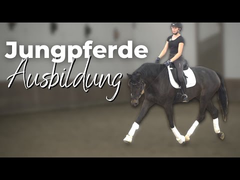 ✨ 4j. Pferd korrekt ausbilden 🐴 | Takt & Losgelassenheit spielerisch erarbeiten🤓