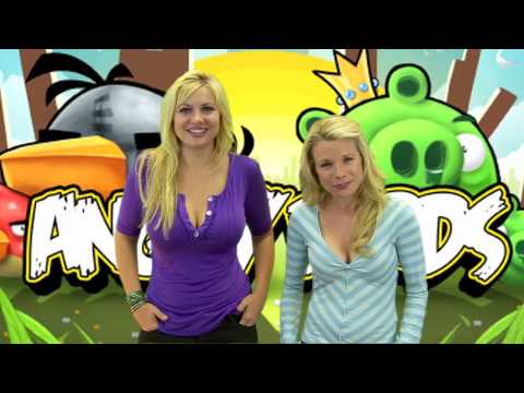 iPhone App DayFly Game Review:  Angrybirds App