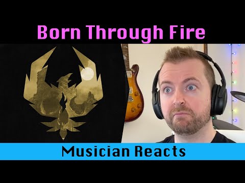 Musician's Born Through Fire reaction - Bone By Bone