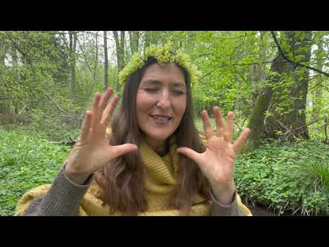 Soul message of the primrose