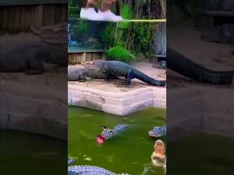 casi caes 🤣 #viral #humor #parati #videochistoso #videoshort #fypシ #fy #fypシ゚viral #lomejor #risa