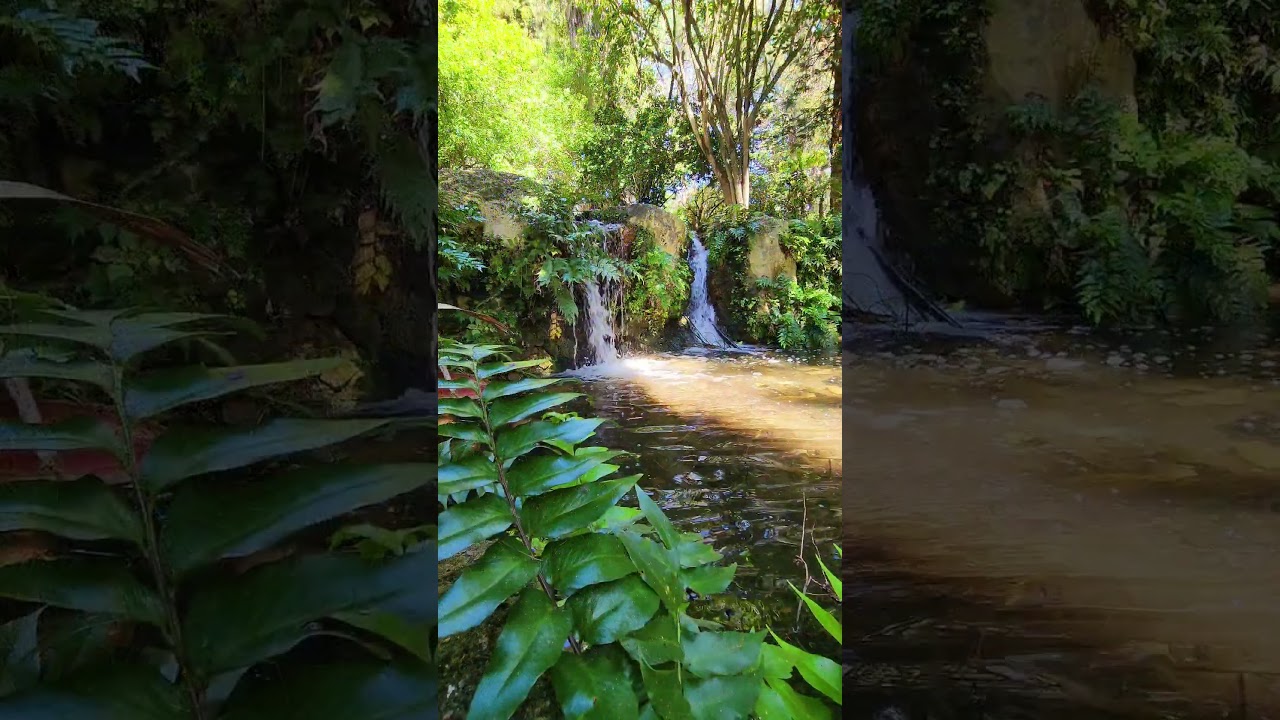 YouTube Short thumbnail