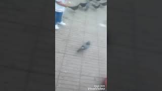 Tu eres mi tesoro-ANDREA BOCELLI