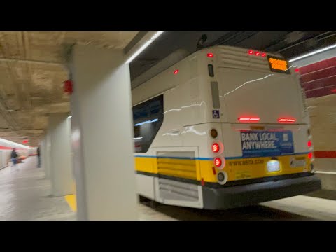 73’s Hybrid Version | Yoshi's Ride Series {S7-E02} - Riding the 73 🚌 - {MBTA}