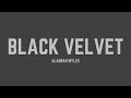Alannah Myles - Black Velvet (Lyrics)