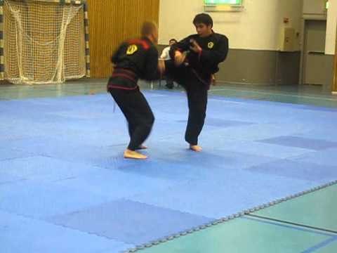 Wushu NM 2010 - Duilian