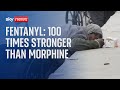 Fentanyl The Million Dollar Streets Strewn With Bodies Contorted By The Effects Of The Drug