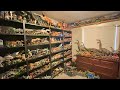 Complete Jurassic World Collection Room Tour