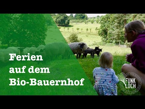 Video 31 aus  Behringhof am Gamengrund