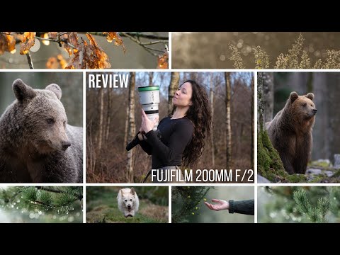 Fujifilm 200mm F/2 REVIEW 2024 | Wildlife Photography | Fujifilm XH2s & XH2