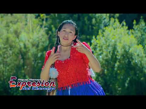 EXPRESION DEL CHARANGO - me has dejado [OFICIAL 2019] MAGIC STUDIOS Bolivia ᴴᴰ
