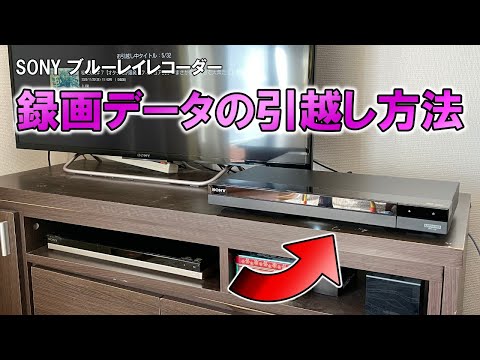 バクテリアがデータレコーダーに変身
