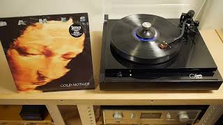 James - Walking the ghost Vinylrip