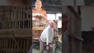 Download lagu Om Kimochi Duet Joget Es Krim Campina mp3