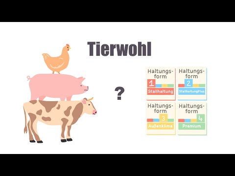 Was bedeuten die Haltungsformen 1-4?