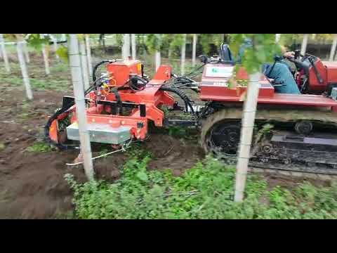 Ripuntatore-Ripper "Vigna 5" con scalzatore a lama e fresino - Ciancaglini Srl