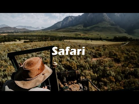 Safari - Adventure African Background Music (Travel Background Music)