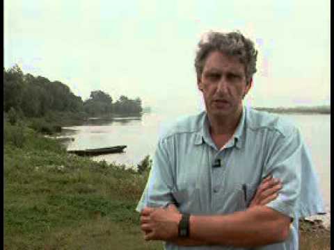 bitwa pod grunwaldem   dokument wołoszański