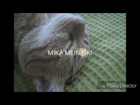 download lagu mp3 mp4 Sanni Lyrics, download lagu Sanni Lyrics gratis, unduh video klip Sanni Lyrics