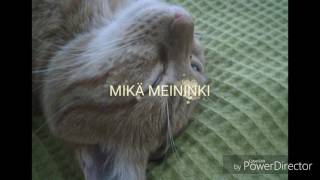 SANNI - SANNI (LYRICS)