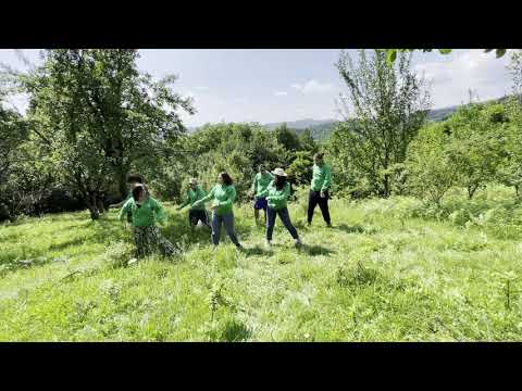AIESEC in Cluj-Napoca - generation PEAK roll call
