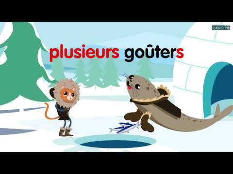 Français - EB2 - L'accord dans le groupe nominal - Canopé