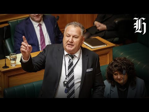 Trying to get a deal with Ngāpuhi: NZ First Minister Shane Jones joins Herald NOW | Herald NOW