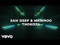 Sam Deep, MaWhoo - Thokoza (Visualizer)