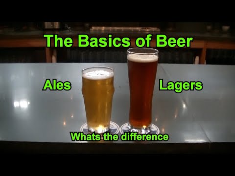 Beer 101 - The Basics of Beer - What's the difference between Lagers and Ales  -  Lager vs Ale