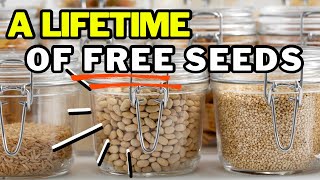 Why Your Seeds Lose Viability (The ONLY Way To Store Seeds Over The Winter)