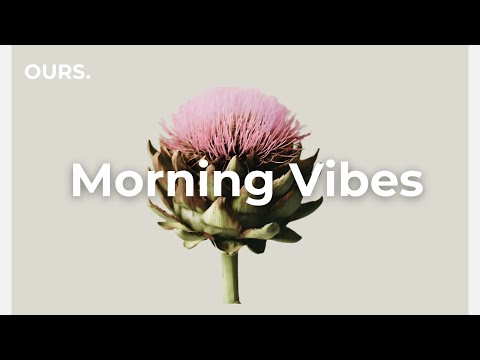 Chill House for a Calm Focus — LIVE