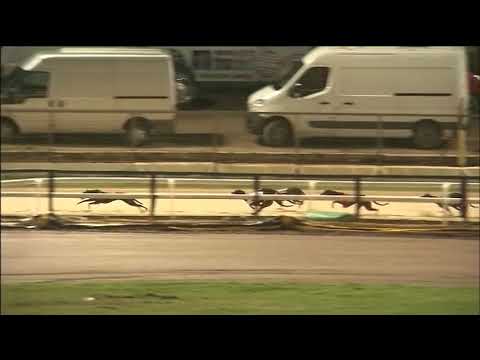 2018 GOLDEN CREST - HEAT 5 - T5  SOUTHERN SOUND