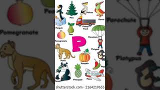 Begginers planner 18 related worksheets through video