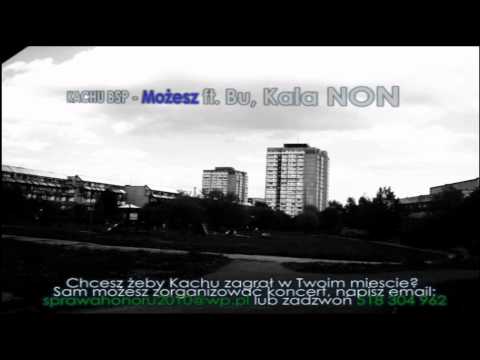 KACHU BSP - SPRAWA HONORU 2010 (RPK,SZAJKA,NON,EMBLEMAT,ZPTU i inni)PLYTA JUZ DO KUPIENIA!