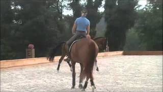 Video von Otis Barbotiere