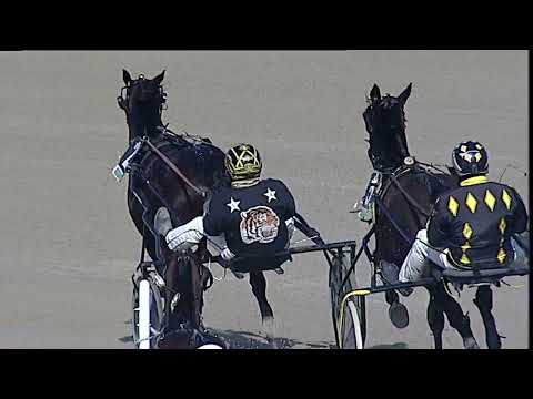 Napoli Trotto 10/02/2023 - 1ª corsa