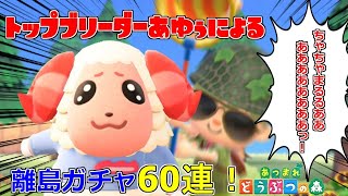 [あつ森]ちゃちゃまる狙ってガチャ60連！
